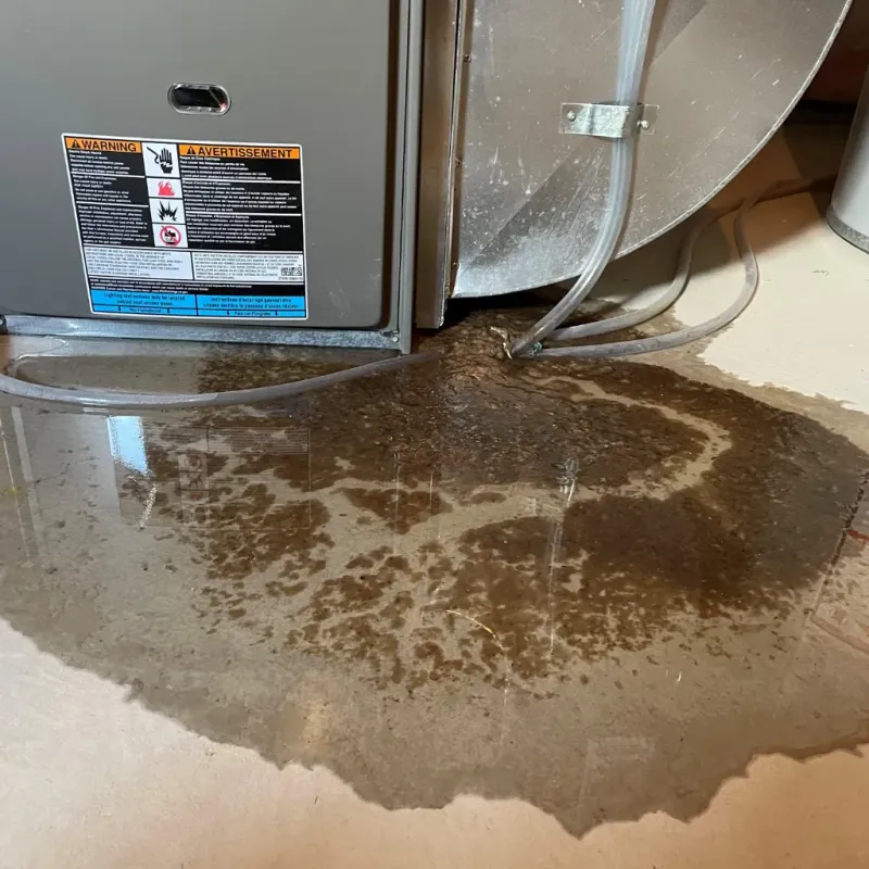 Appliance Leak Cleanup in Diamond Ridge, AK