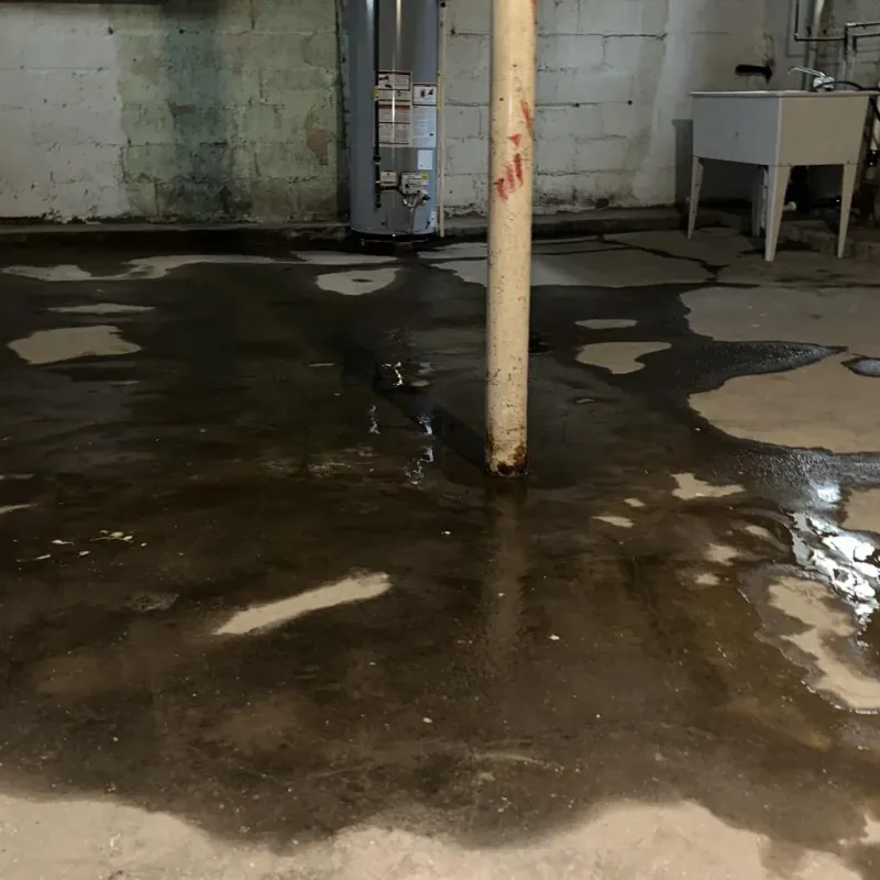 Emergency Water Extraction And Removal in Diamond Ridge, AK